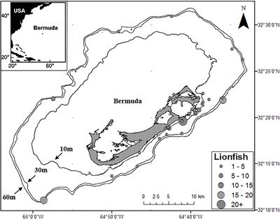 Stable Isotope Ecology of Invasive Lionfish (Pterois volitans and P. miles) in Bermuda